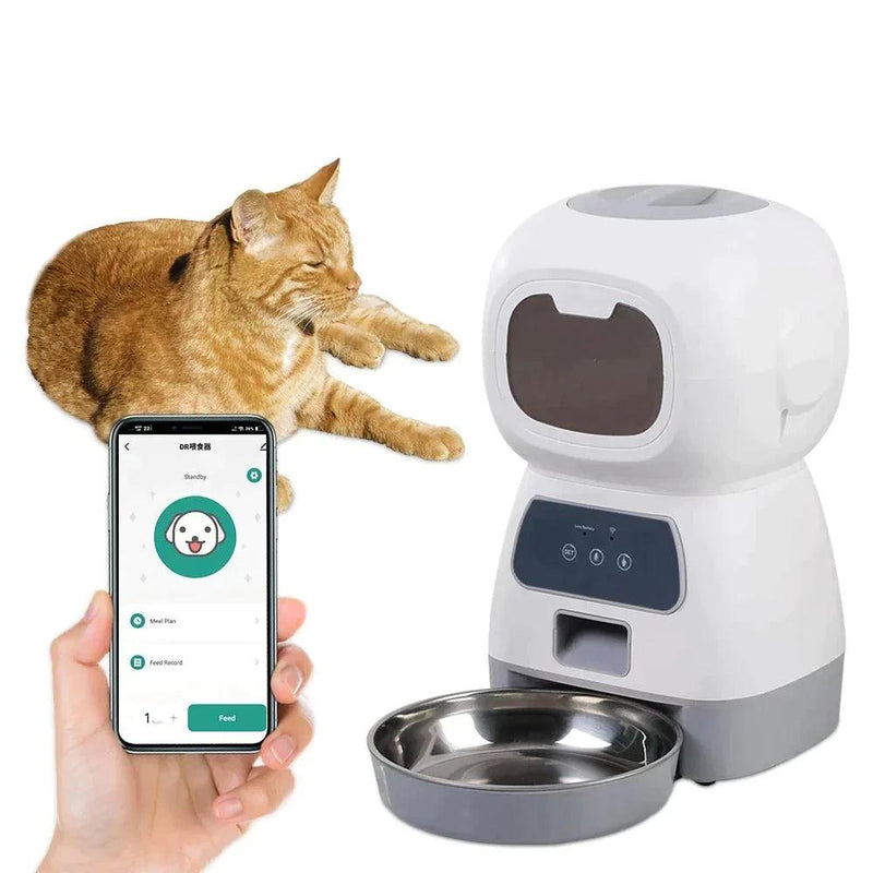 Alimentador Automático para Cães e Gatos - Shopping 65